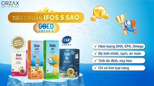 Dầu cá tinh khiết tiêu chuẩn IFOS 5 sao – dưỡng chất "vàng" hỗ trợ bổ mắt, não, tăng cường sức khỏe