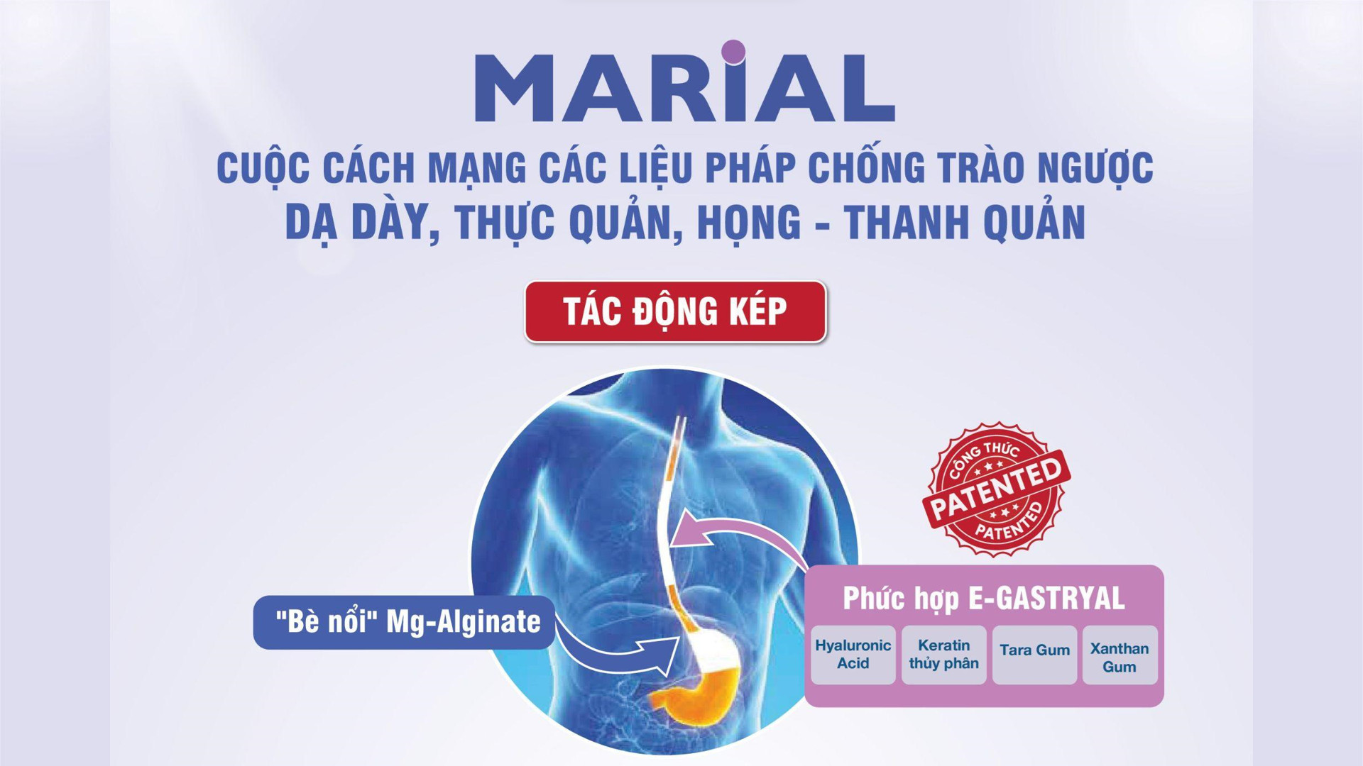 Marial mang đến tác động kép vừa ngăn chặn triệu chứng trào ngược, vừa bảo vệ niêm mạc thực quản, họng, thanh quản