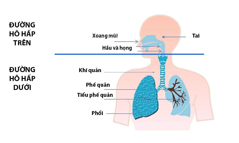 Những bệnh hô hấp trẻ thường gặp khi giao mùa?